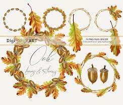 Watercolor Oak Leaves And Acorns Clipart Fall Wreath Png Etsy Wreath Clip Art Clip Art Wreath Clip