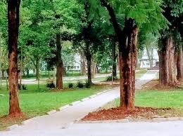 Here are some helpful navigation tips and features. Muliro Garden Opera News Kenya