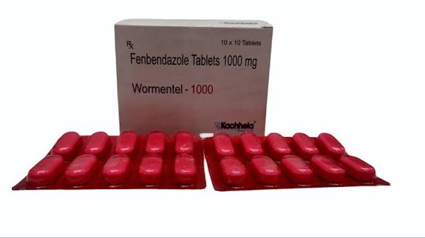 Fenbendazole 1000mg Tablets at ₹ 325/stripe | Fenbendazole Bolus in Nagpur | ID: 15122305673