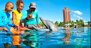 Atlantis Paradise Island: Best Caribbean Resort - Terrance Talks Travel