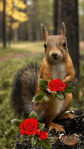 Https Encrypted Tbn0 Gstatic Com Images Q Tbn 3aand9gcrfciksk0tkv1huhktt4wcwgoedw1mbidmy Q Usqp Cau