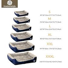 Dog Bed Sizes Donatecar2018 Info