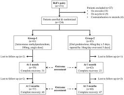 Still, your healthcare provider may recommend one or more of these therapies for symptom relief and a faster recovery: Single Dose Intravenous Methyl Prednisolone Versus Oral Prednisolone In Bell S Palsy A Randomized Controlled Trial