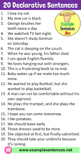 20 Example Of Declarative Sentence Definition And Example Sentences Example Sentences Declarative Sentences Sentence Examples Sentences