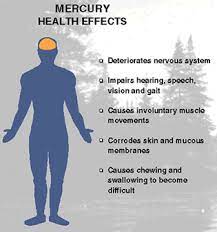 Health Effects Of Mercury