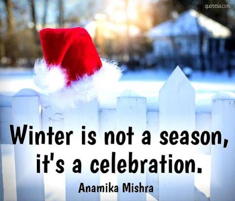 Winter is not a season, it's a celebration.