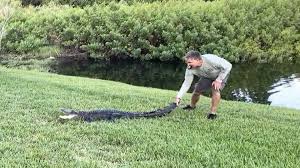 Jun 17, 2021 · each of these 6 abandoned places in connecticut has a story to tell. 7 Foot Alligator Attacks Woman Walking Dog Near Lake In Palm Harbor Wfla
