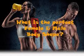 Many of the most alluring women in the world are endomorphs, like marilyn monroe, jennifer lopez, and sofia vergara. Perfect Female Body What Is The Ideal Body Measurements