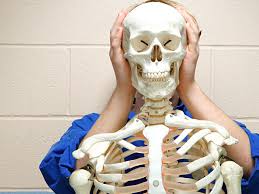 Decreases the angle of a joint. Flat Bones Definition Examples Diagram And Structure