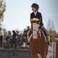 Harmon Classic Derby Mania — Tryon International