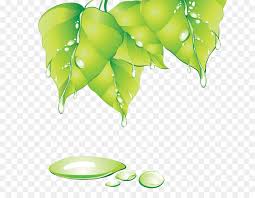 We did not find results for: Family Tree Background Png Download 700 683 Free Transparent Microsoft Powerpoint Png Download Cleanpng Kisspng