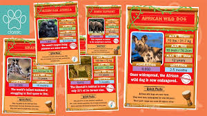 Cheetahs belong to the cat family and are found mainly in east, north, and southern africa. Teacher S Pet African Animals Top Trumps Card Game