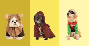 Maybe you would like to learn more about one of these? Best Dog Halloween Costumes 2020 The Strategist