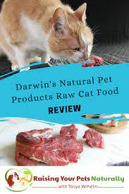 Best Raw Cat Food Brands For Indoor Cats Darwin S Natural Pet Products Raw Cat Food Review Raw Cat Food Recipes Cat Food Brands Cat Nutrition