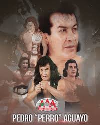 Lucha Libre AAA Worldwide