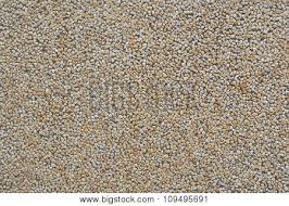 Pebble wash from malaysia stonecontact. Pebble Wash Finishes Image Photo Free Trial Bigstock