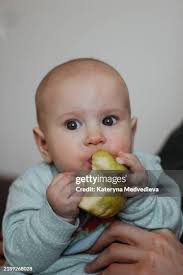 1,301 Child Hand Holding Apple Stock Photos, High-Res Pictures, and Images 