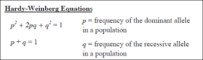 If you just don't like to do math homework, we can handle it for you. The Hardy Weinberg Equation Pogil Answers Population Genetics And The Hardy Just Answers Your Sum Should Be Equal To One Wilderust
