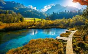 8 Must Do S Fur Deinen Urlaub In Slowenien Ichreise Slowenien Urlaub Urlaub Slowenien