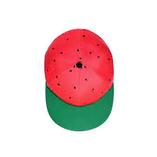 Watermelon Hat Watermelon Hipster Hat Cute Fruit