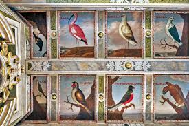 This is unter fremden decken 2 (gesamt) by pqpp2 gmbh on vimeo, the home for high quality videos and the people who love them. Brasilianische Vogel In Hoflossnitz Monumente Online