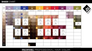 Paul Mitchell The Demi Shade Chart Peewees Burgess Hill