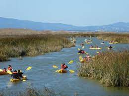 See full list on alltrails.com Alviso Marina County Park Parks And Recreation County Of Santa Clara