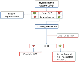 Mögliche ursachen sind unter anderem hyperventilation. Kalzium Magnesium Und Phosphat Haushalt Springerlink