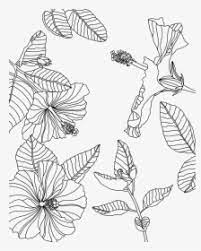 Search through 623,989 free printable colorings at getcolorings. Transparent Tumblr Png Coloring Pages Coloring Page Procreate Free Png Download Kindpng