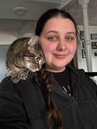 Kitten wanted in DeKalb area Illinois