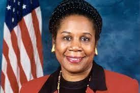 Danny Nicosia's Instagram, Twitter & Facebook