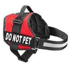 Robot Check Dog Vest Harness Service Dog Vests Service Dogs