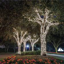 Pin By Toti Piedrabuena On Piedrailuminacion In 2021 Outdoor Tree Lighting Christmas House Lights Solar Christmas Lights