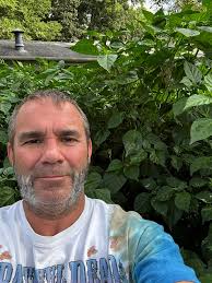 What causes blossom end rot in chili plants grown outdoors with black  plastic film?