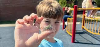 166 ANNE ARUNDEL COUNTY PUBLIC SCHOOLS EDUCATORS EARN NATIONAL BOARD  CERTIFICATION