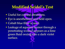 Image result for Seidel Test