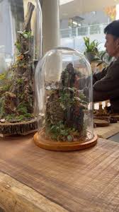 Image result for Calvoa