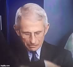 The best gifs are on giphy. Fauci Imgflip