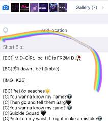 Aesthetic Bio Template Amino Copy And Paste Short Aesthetic Amino Bio Template