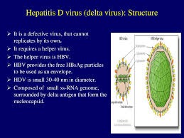 To better define the geographic distribution and genetic. College Of Medicine Kkuh Ppt Download