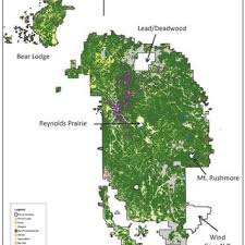 Thank you pointe pest control. Ponderosa Pine Forests Dominate The Black Hills Vegetation With A Download Scientific Diagram
