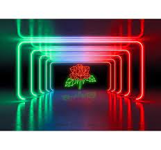 ✓ free for commercial use ✓ high quality images. Neon Rose 3d Effect Wall Mural Tenstickers