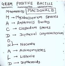 Pin By Sucharitha Kumar On Neet Exam Siri In 2020 Medical Quotes Learn Biology Study Biology