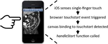A Platform Independent Plugin For Navigating Online Radiology Cases Springerlink