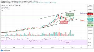 Bitcoin (btc) price experienced a severe crash below $40k, something like the 2018 and 2020, yet at a larger scale, now in 2021. Bitcoin Price Prediction Btc Usd Keeps Pushing Higher As Price Moves Toward 37 500 Laptrinhx
