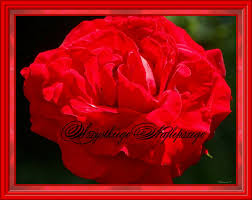 Najlepsze życzenia z okazji imienin: Irenko Najserdeczniejsze Zyczenia Imieninowe áƒ¦ Spelnienia Marzen Kochana áƒ¦ Zdjecie Fotoblog Marzenna79 Flog Pl