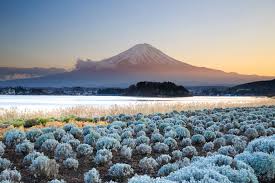 Seven Amazing Views Of Mount Fuji Wapedia