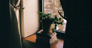 While the novel pores over the nuances of different kinds of bonds from maternal to romantic. The Only Nonfiction Book List You Ll Ever Need Blinkist Magazine