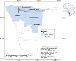 The towns are consequently also relatively small and widely spread. The Governance Of Indigenous Natural Products In Namibia A Policy Network Analysis Springerlink