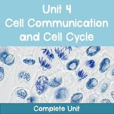 All presenty existing cells arose from previously existing cells. Ap Biology Unit 4 Cell Communication And Cell Cycle Complete Unit Getting Down With Science